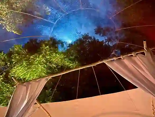 bubble lodge