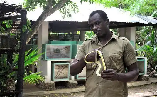 snake farm
