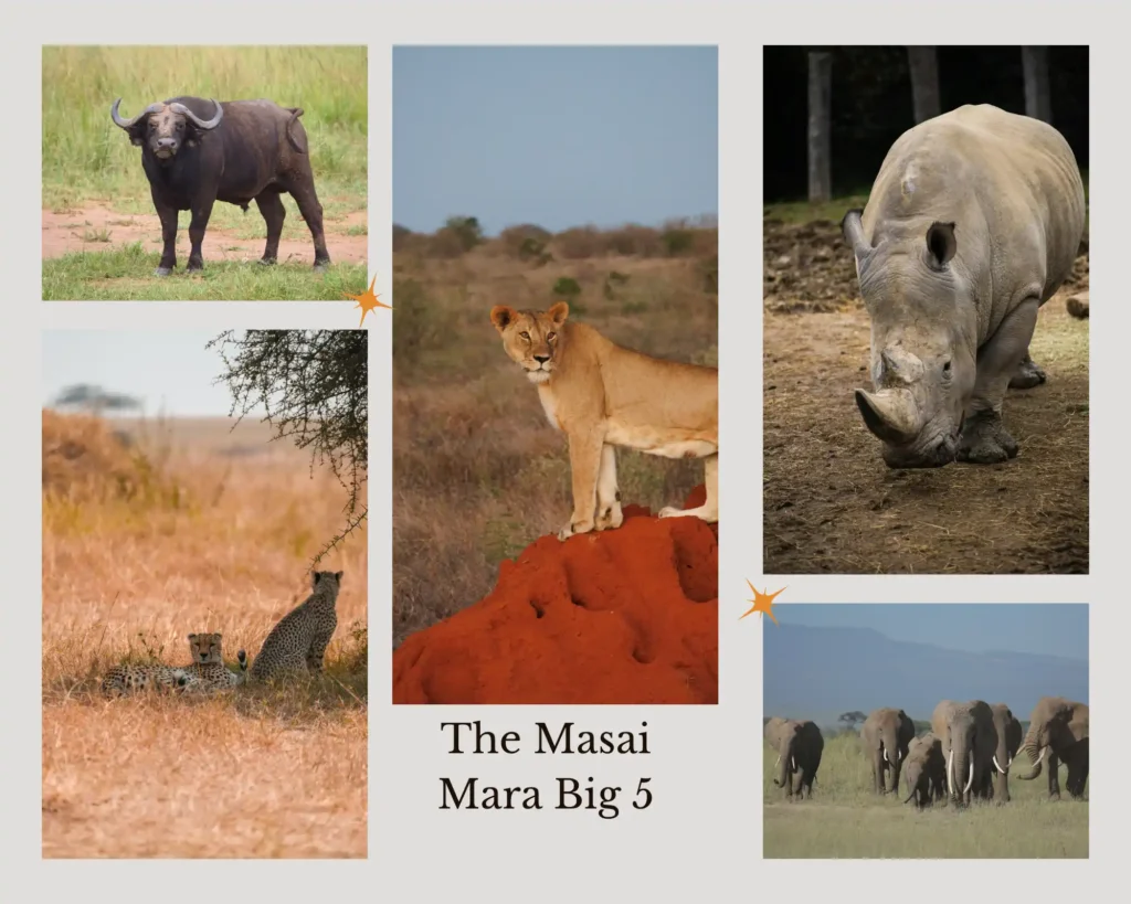 The masai mara big 5