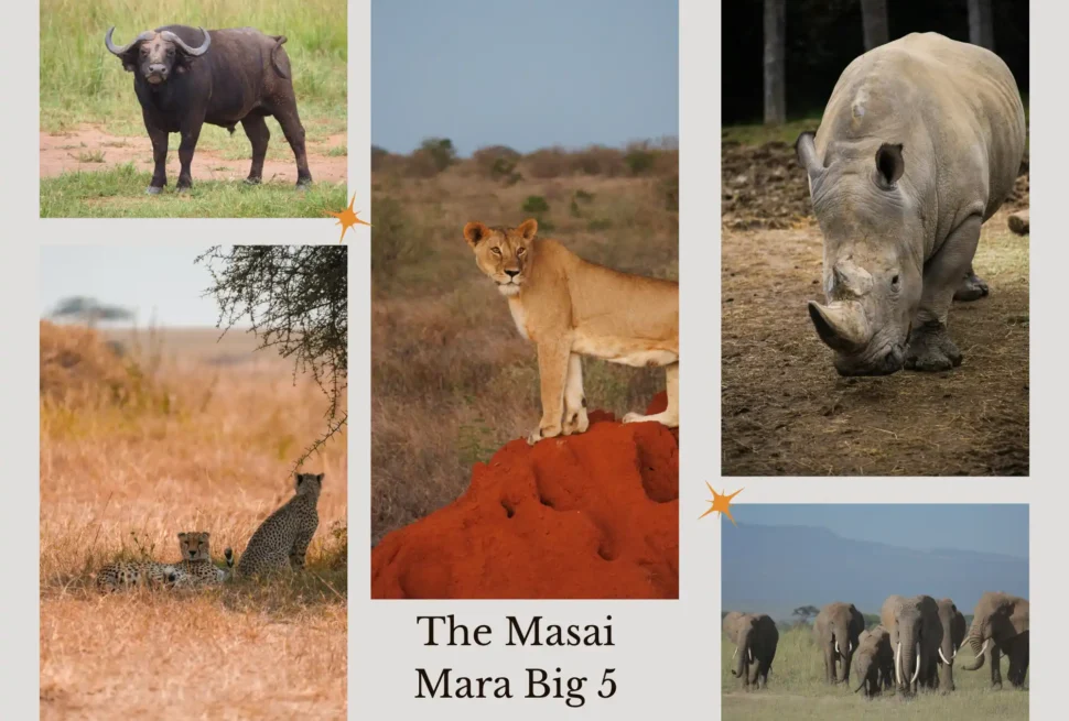 The masai mara big 5
