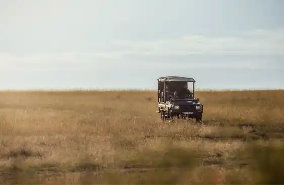 JW Mariott game drive