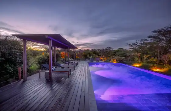jw mariott masai mara lodge pool