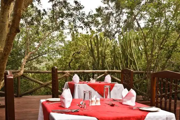 masai mara sopa lodge dining experience
