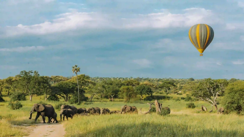 Luxury Tanzania Migration Safari 2026