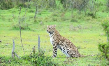 9 Days Kenya's Best-Value Mara & Diani Beach Safari