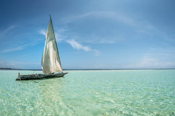 istockphoto-1209856565-612×612