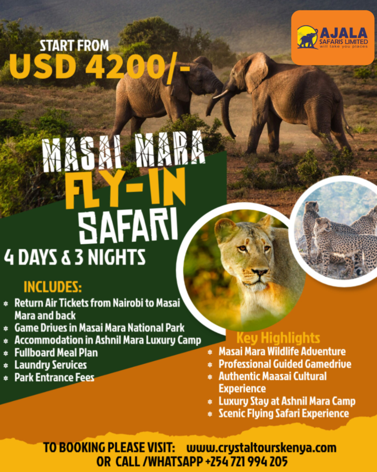 blue minimlaist real estate flyers