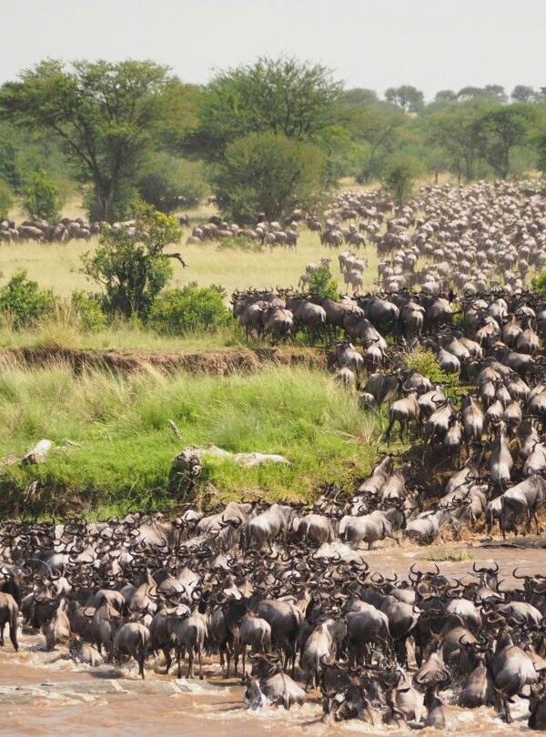 15-Day Luxury Kenya Tanzania Safari