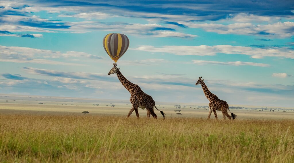 15-Day Luxury Kenya Tanzania Safari