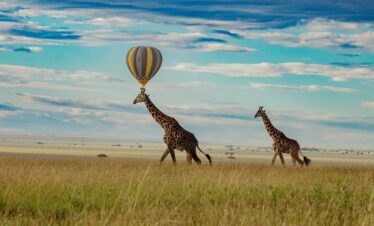 15-Day Luxury Kenya Tanzania Safari