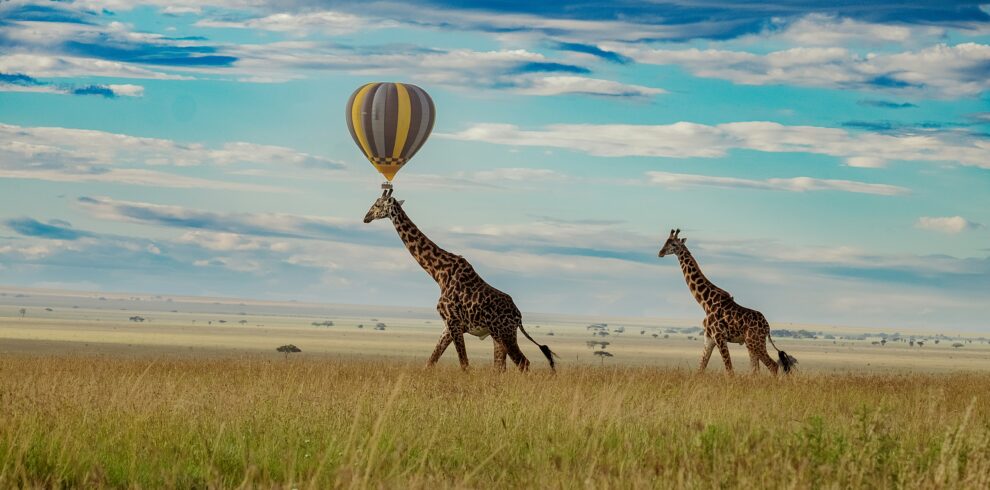 15-Day Luxury Kenya Tanzania Safari