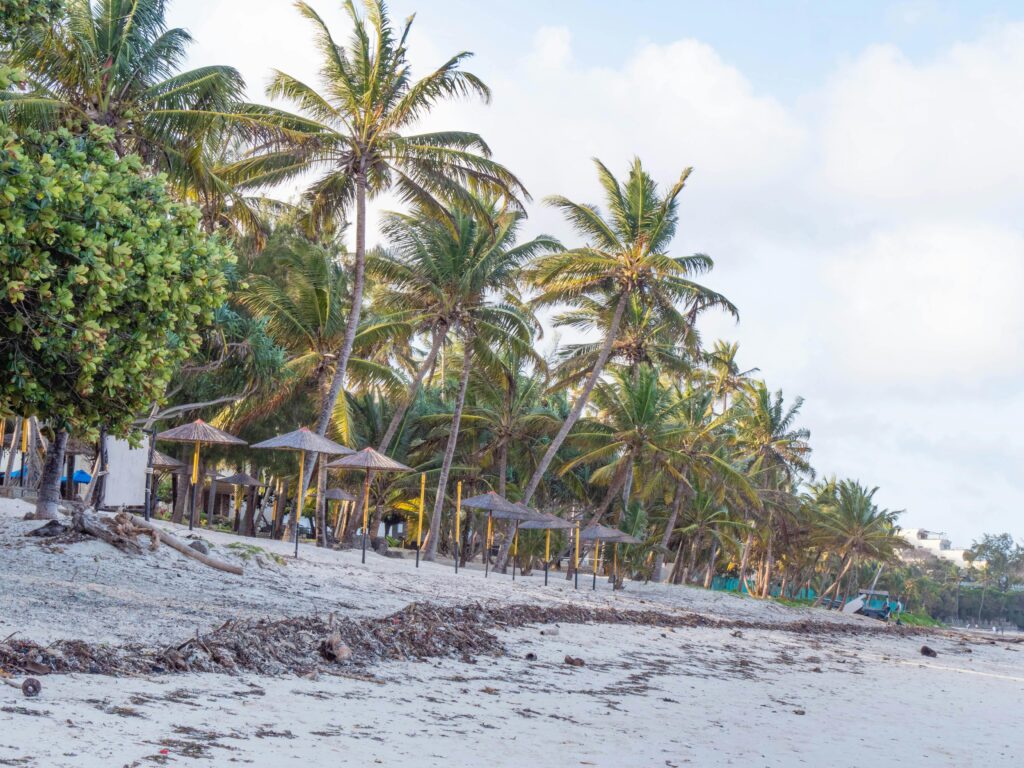 Malindi beach