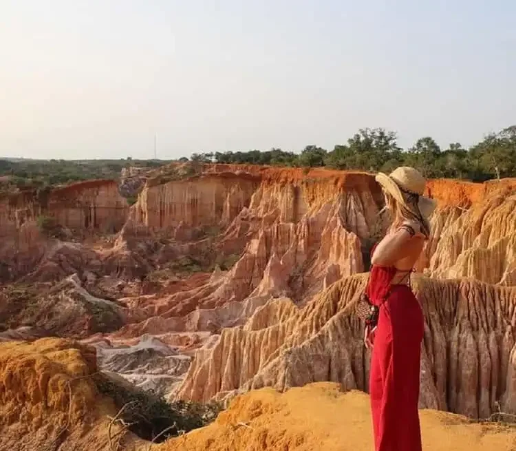 Ajala Safaris