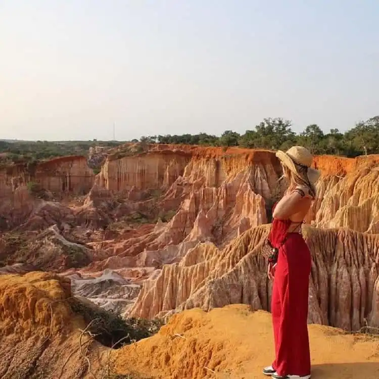 Ajala Safaris