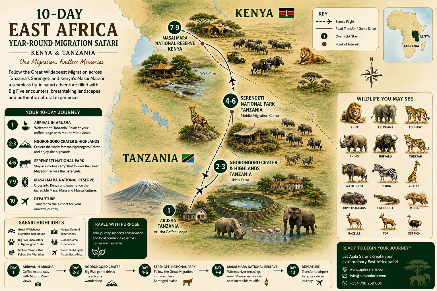 East Africa Year-Round Migration Safari