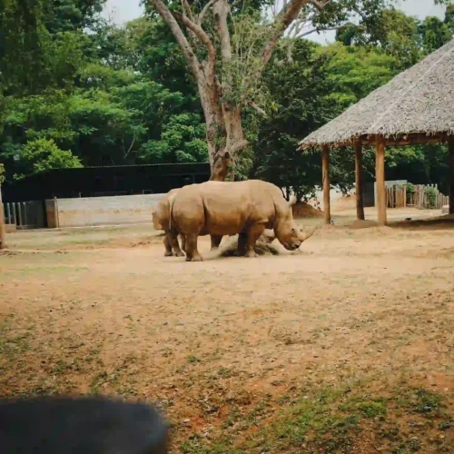 Kenya Luxury Hidden Gem Safari
