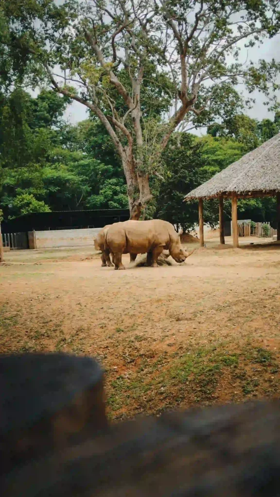 Kenya Luxury Hidden Gem Safari