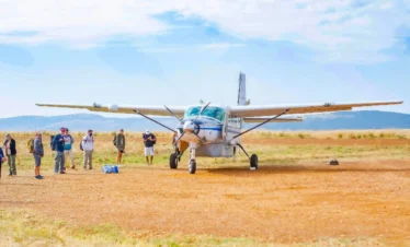 2-Day Luxury Serengeti Migration Safari from Zanzibar