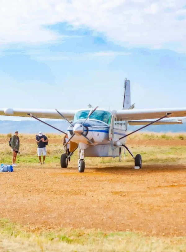 2-Day Luxury Serengeti Migration Safari from Zanzibar