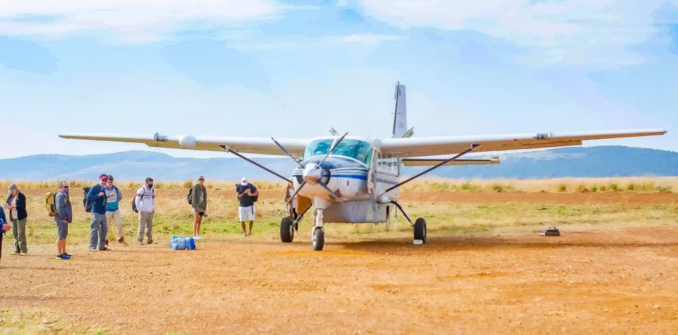 2-Day Luxury Serengeti Migration Safari from Zanzibar