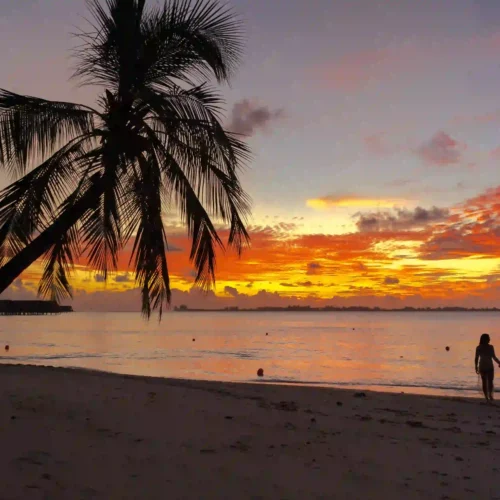 11-Day Luxury Tanzania Honeymoon Safari & Private Island Escape