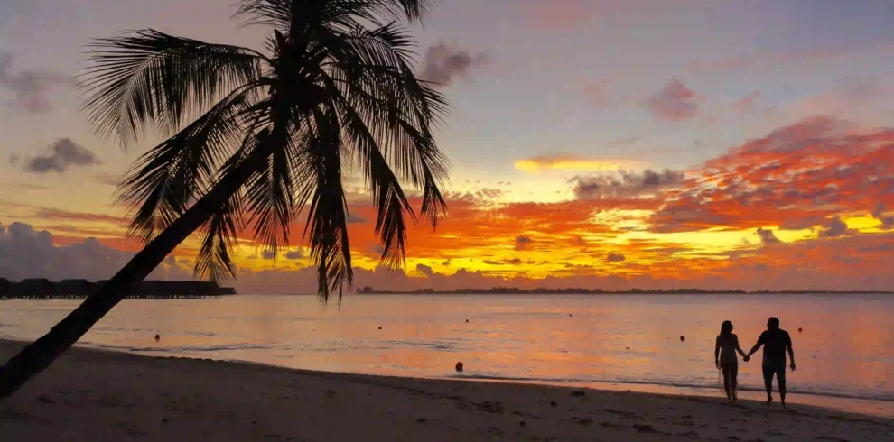11-Day Luxury Tanzania Honeymoon Safari & Private Island Escape