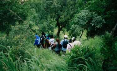 Luxury Tanzania Migration Safari 2026