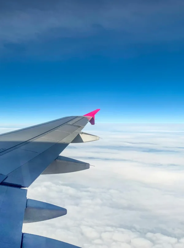3 Day Fly-in Tanzania Safari from Zanzibar