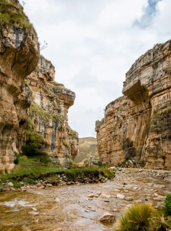 5-Day Masai Mara, Lake Nakuru & Lake Naivasha Luxury Safari