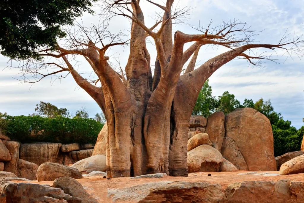 4 Day -Day Luxury Fly-In Serengeti Safari from Zanzibar | Ajala Safaris