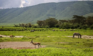 Ngorongoro crater and conservancy