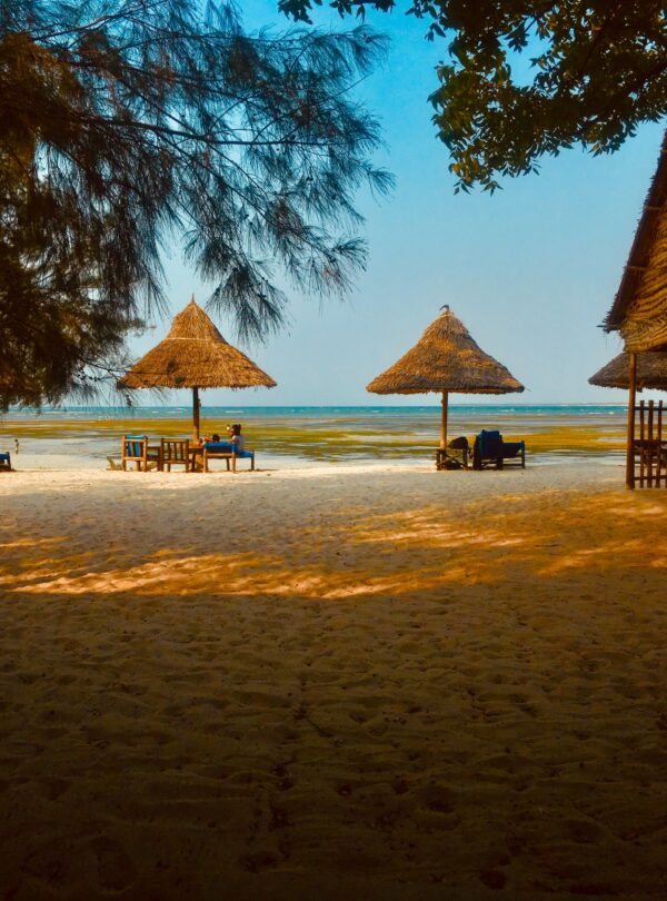 11-Day Luxury Tanzania Honeymoon Safari & Private Island Escape