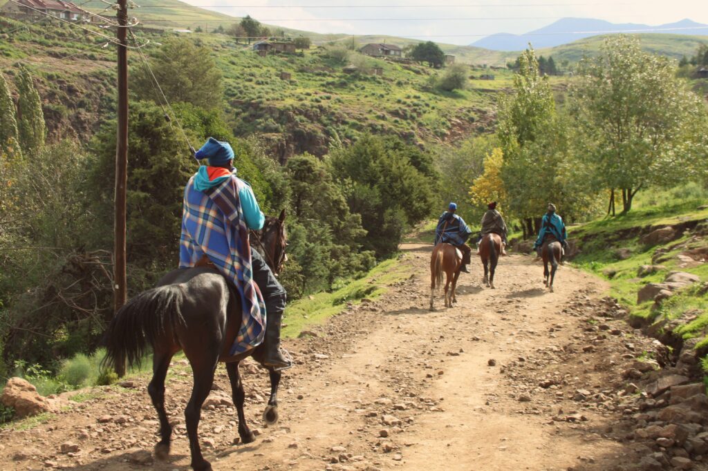 13-Day Kenya Wildlife Safari & Dhow Adventure Hidden Gem