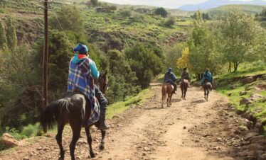 13-Day Kenya Wildlife Safari & Dhow Adventure Hidden Gem