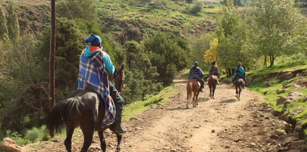 13-Day Kenya Wildlife Safari & Dhow Adventure Hidden Gem