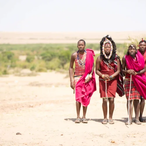 Kenya Luxury Safari