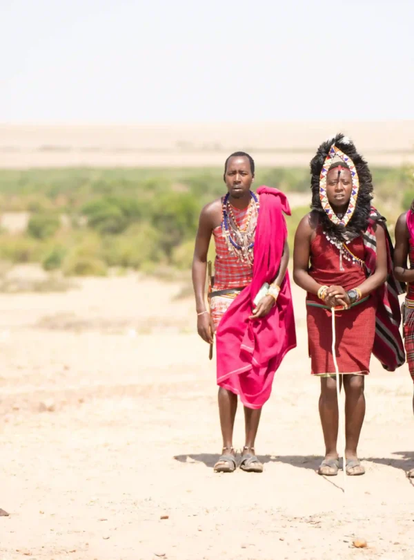 East Africa Year-Round Migration Safari