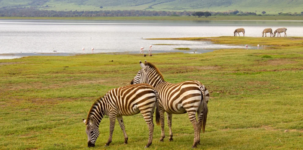 ngorongoro conservancy