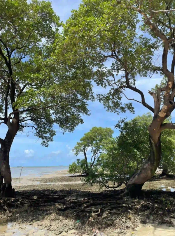 Luxury Tanzania Safari & Zanzibar Beach Holiday