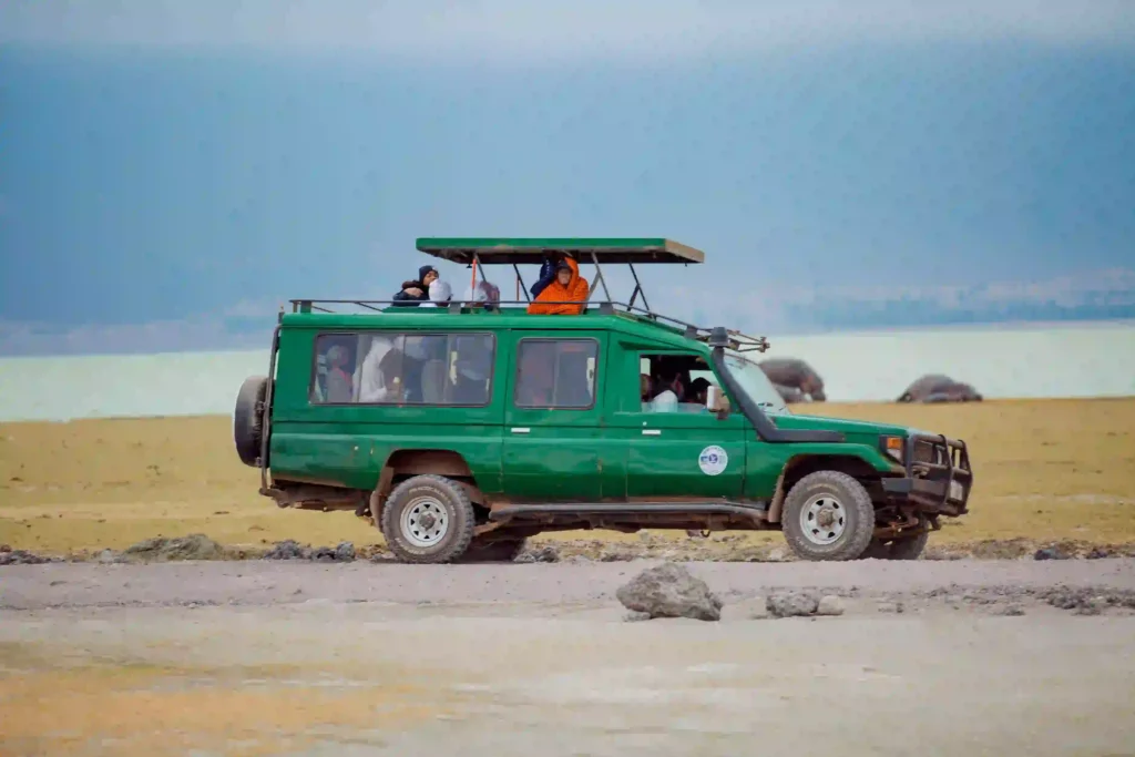 8-Day Tanzania Tented Crater & Migration Safari