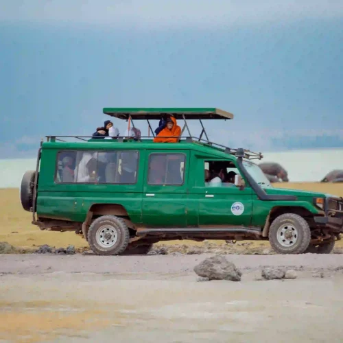 Luxury Kenya Conservation And Community Safari