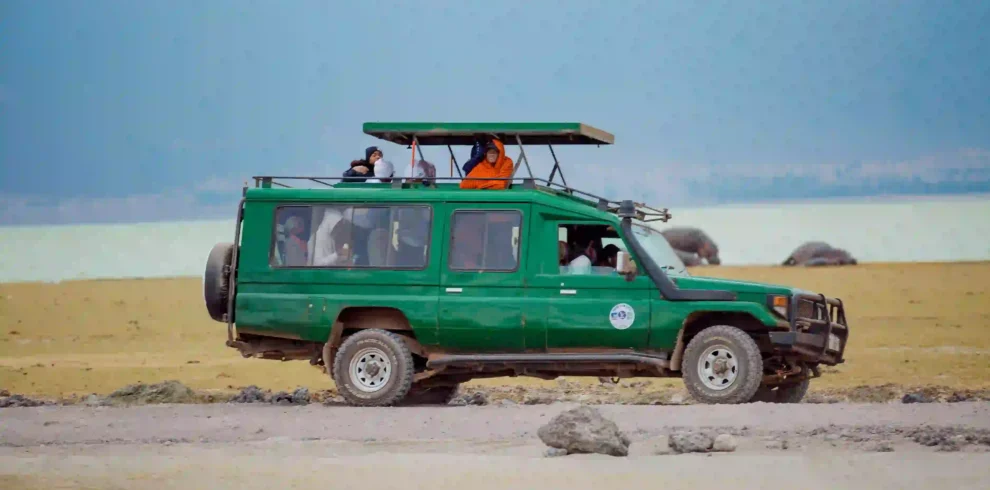 8-Day Tanzania Tented Crater & Migration Safari