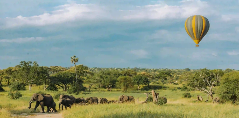 Luxury Tanzania Migration Safari 2026