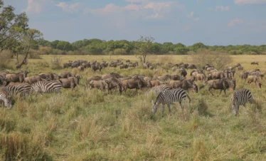 6-Day Tanzania Fly-In Safari