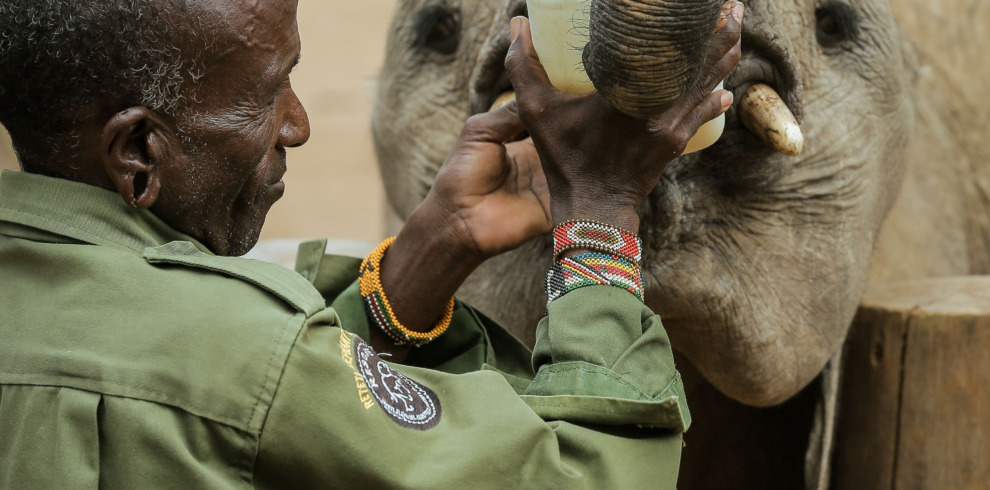 12-Day Luxury Kenya & Tanzania Safari Adventure